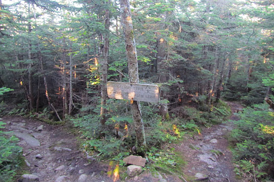 Mount Tecumseh, Waterville Valley, NH, New Hampshire, Grafton County, Hiking NH 4000 Footers